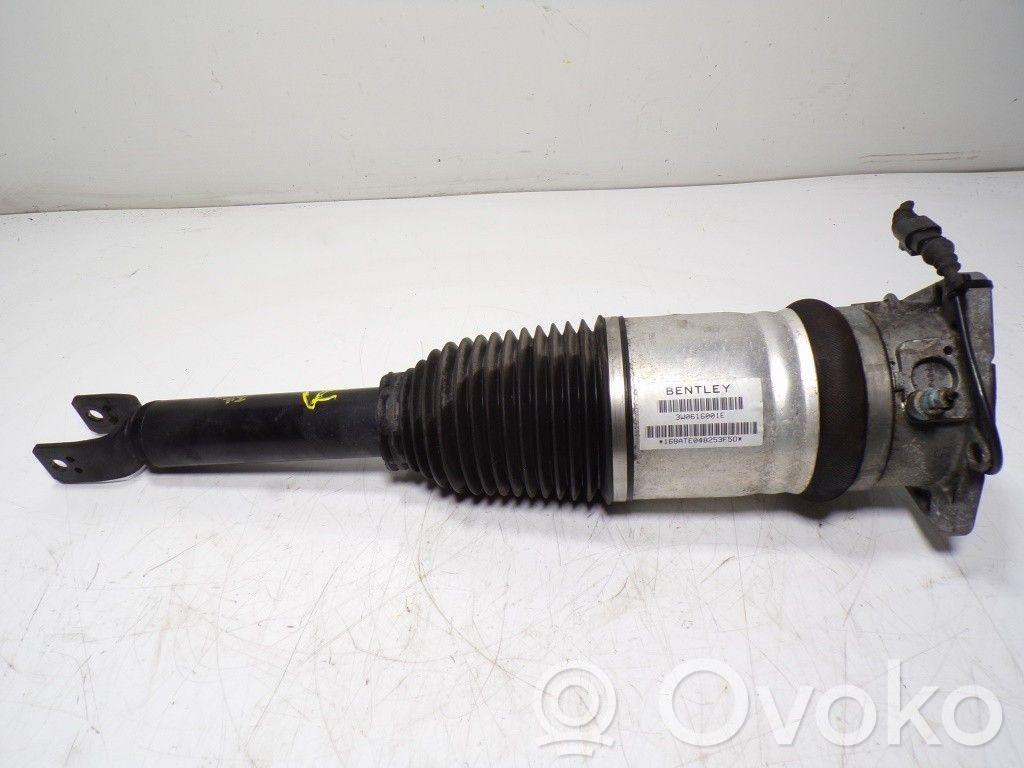 Stoßdämpfer hinten   3W0616001E,3W0616001E