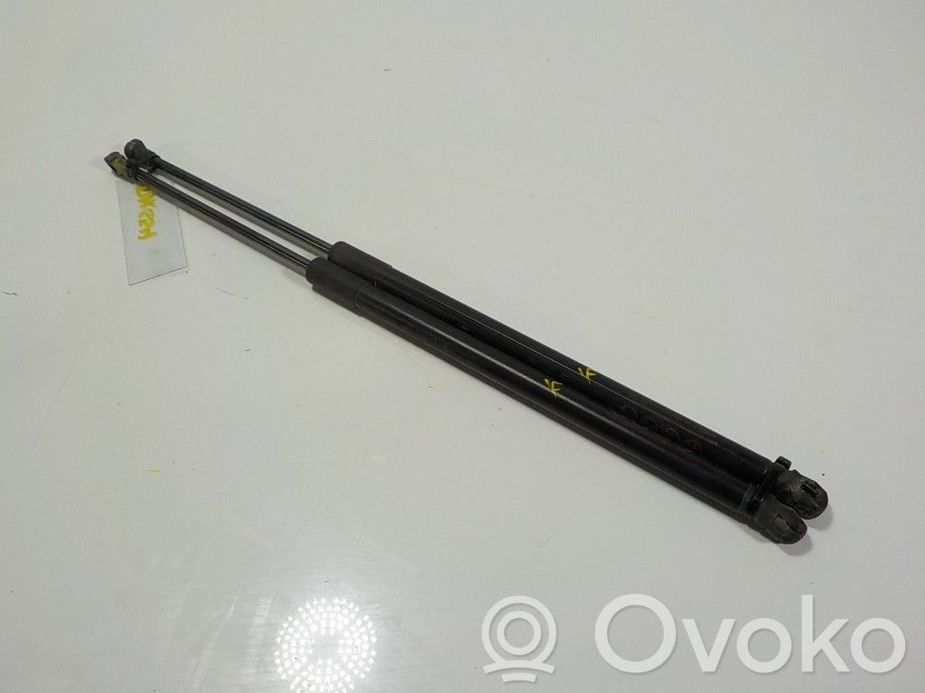 Tailgate/trunk strut/damper   DA6C63620A