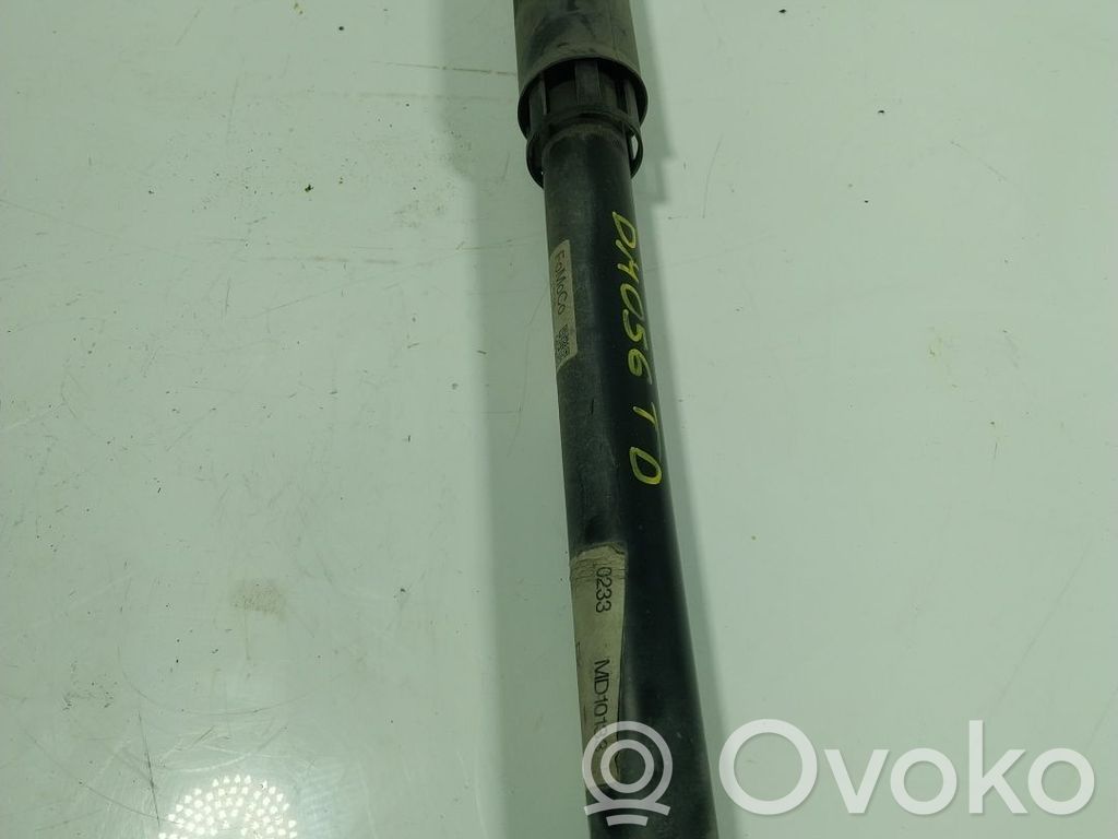 Stoßdämpfer hinten   2460328,JX6118080
