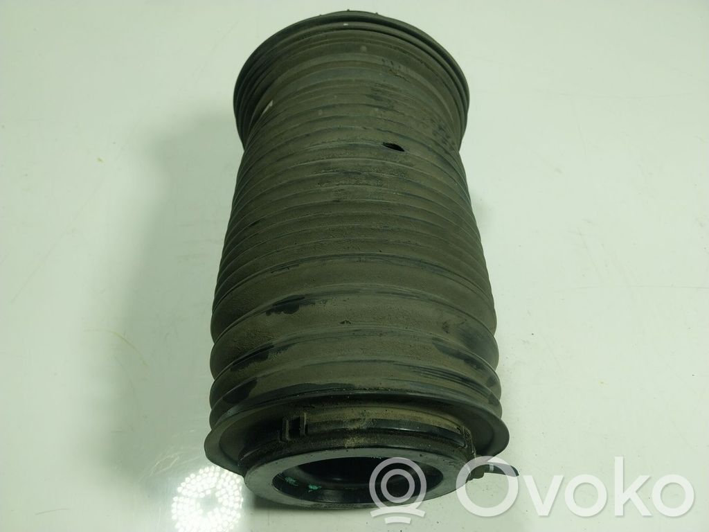 Muelle espiral delantero   06701007150