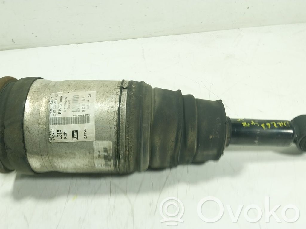 Amortizor spate   LR014195,22250006