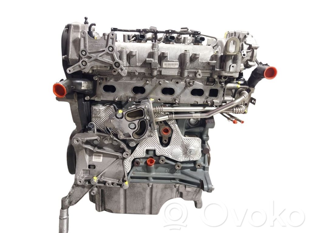 Engine   71777138,55260384