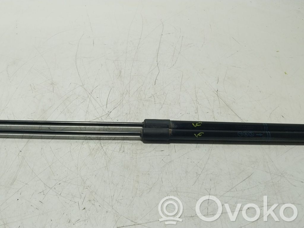 Opel Corsa E Tailgate/trunk strut/damper 