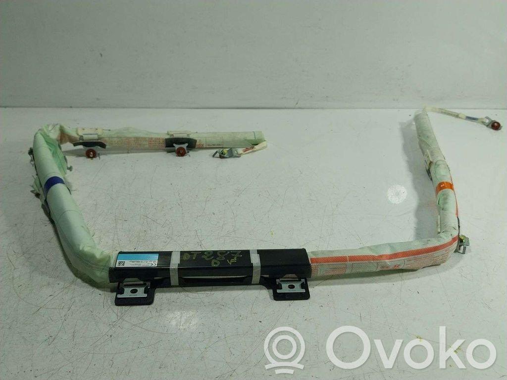 Airbag de la puerta delantera   85020F1000