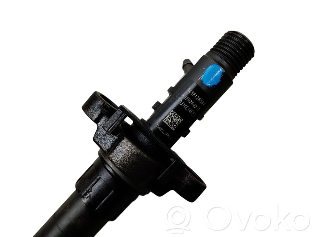 Fuel injector   9688438580