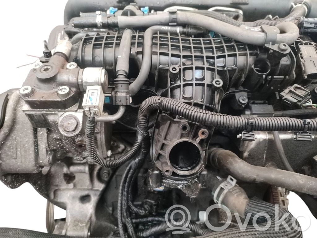 Motor   D4204T14