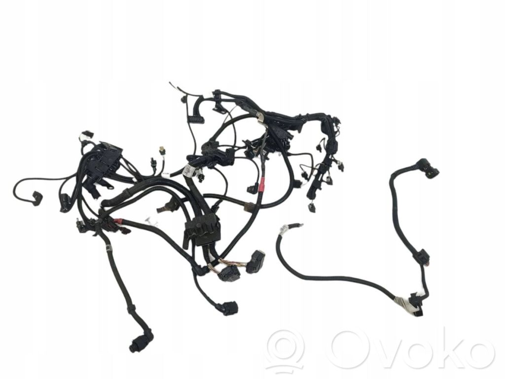 Other wiring loom