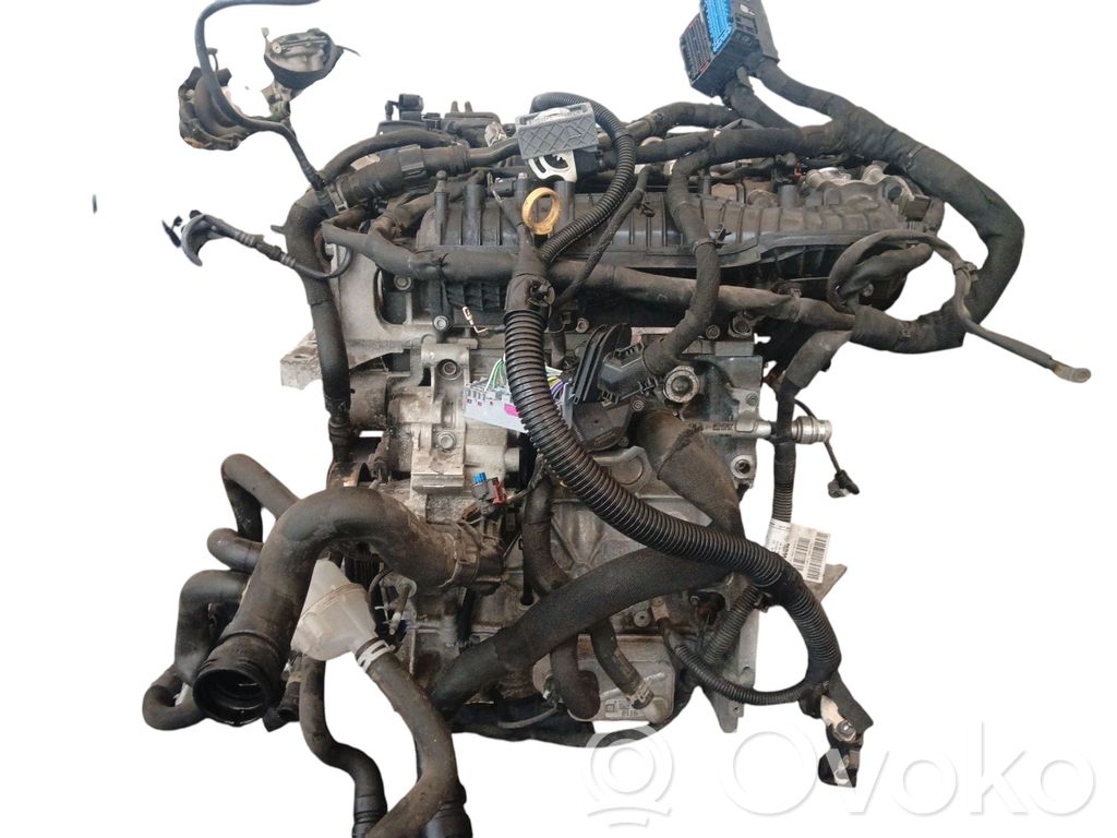 Motor   F15DVC