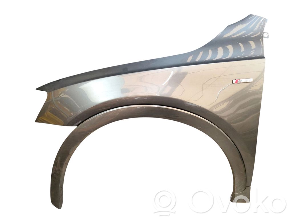 Guardabarro