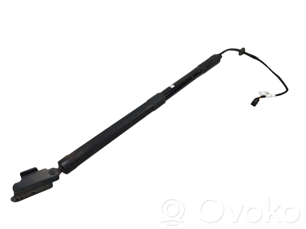 Tailgate strut