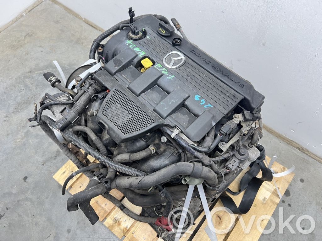 Motor