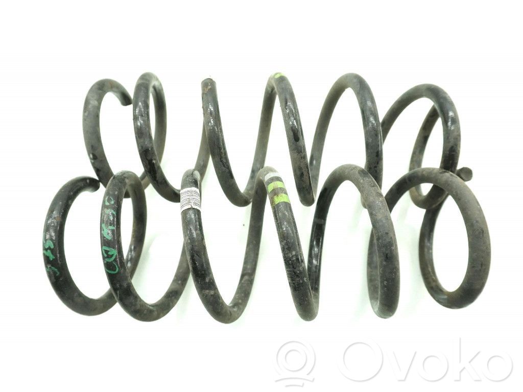 Rear coil spring