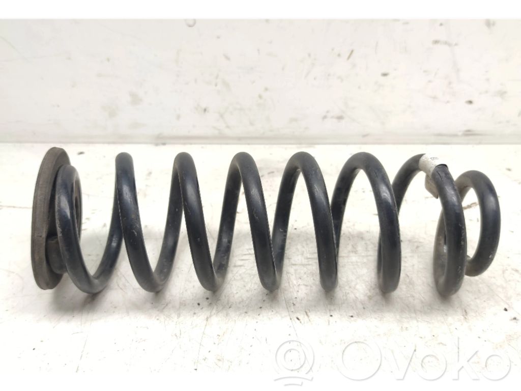Volkswagen Tiguan Rear coil spring 