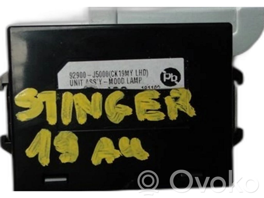 KIA Stinger Other control units/modules 