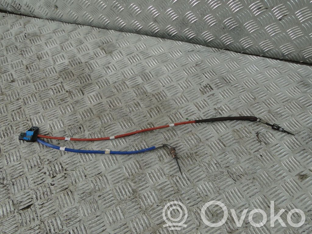 Dacia Jogger Exhaust gas temperature sensor 