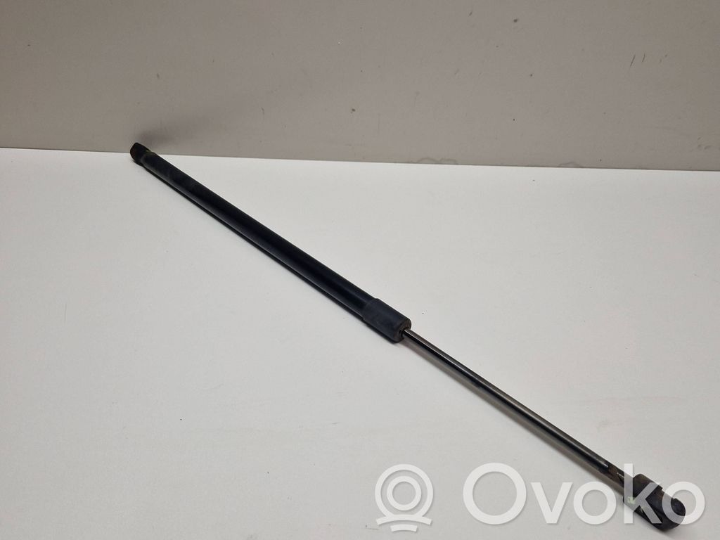 Tailgate/trunk strut/damper   7178273