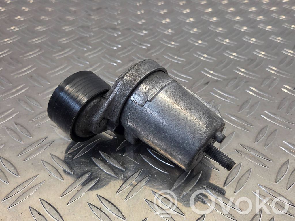 BMW X1 E84 Tensor de correa del alternador 