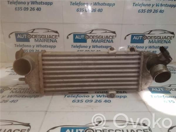 Radiador intercooler   282702A610