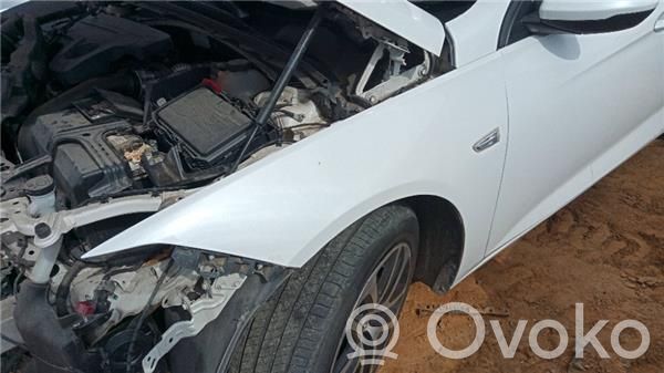 Opel Insignia A Priekšējā arka 