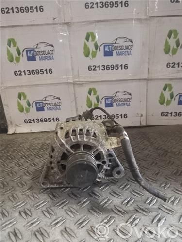 Alternator   206008001