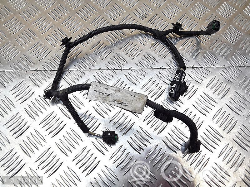 Citroen C6 Cableado de instalación del motor 