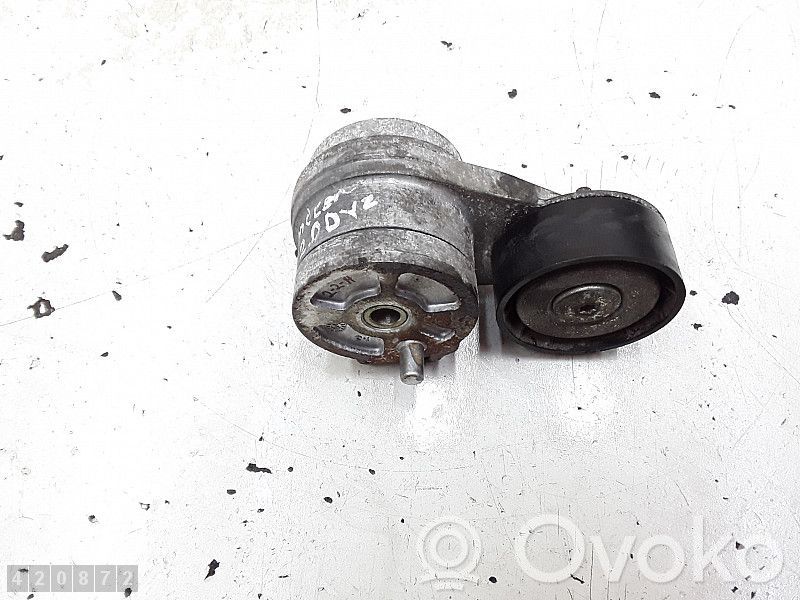 Ford Ranger Întinzător curea generator/alternator 