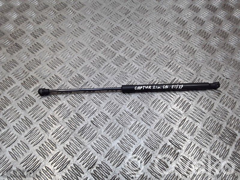 Tailgate/trunk strut/damper   700021056580