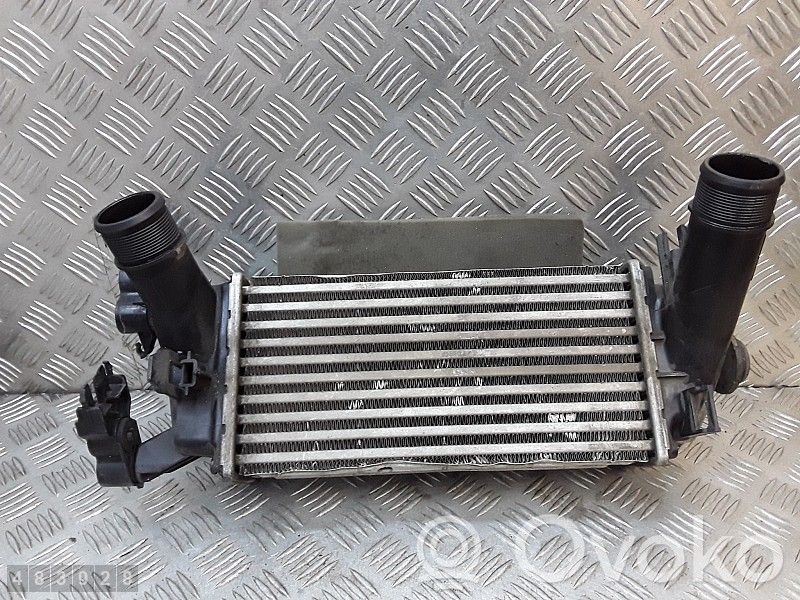 Ford Ecosport Refroidisseur intermédiaire