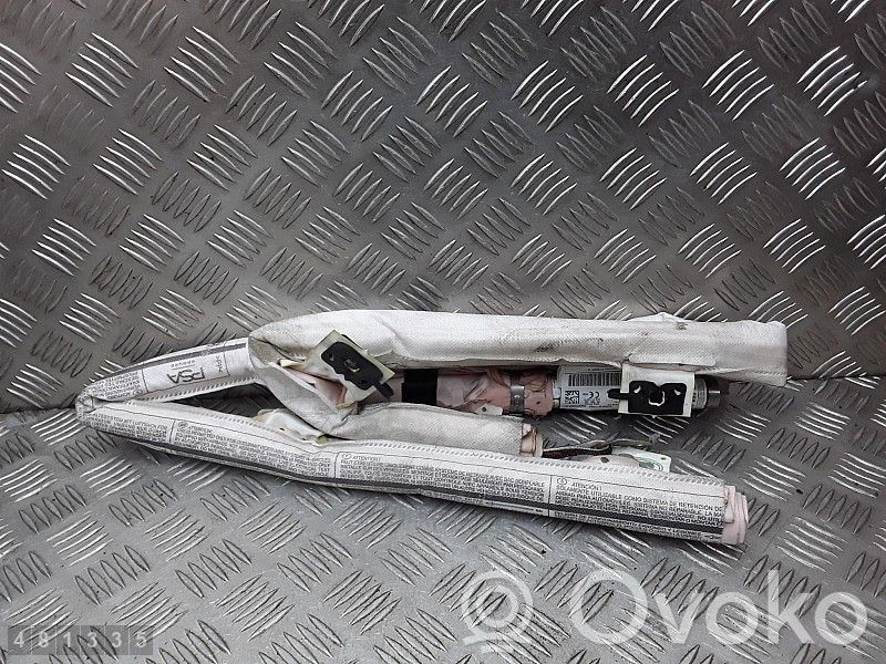 Airbag del techo   9843175380