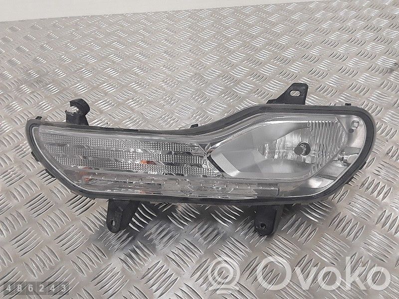 Ford Kuga II Fendinebbia anteriore 