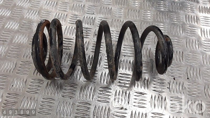 Muelle espiral trasero