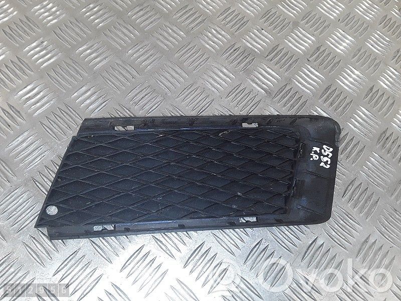 Front bumper lower grill   51117178991