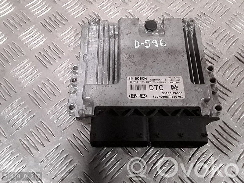 Unidad de control/módulo del motor   391602A950,0281033842