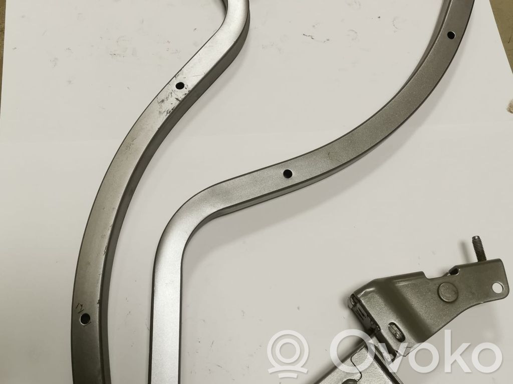 Dodge Charger Loading door hinge set 