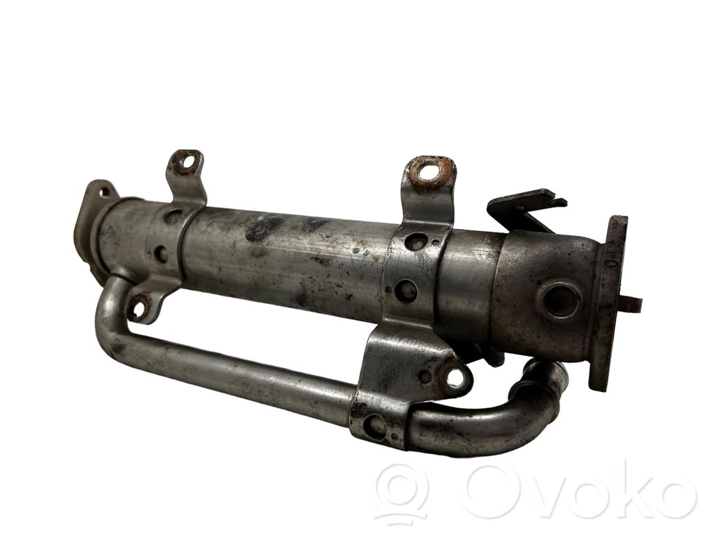 Volkswagen Golf V Chłodnica spalin EGR 