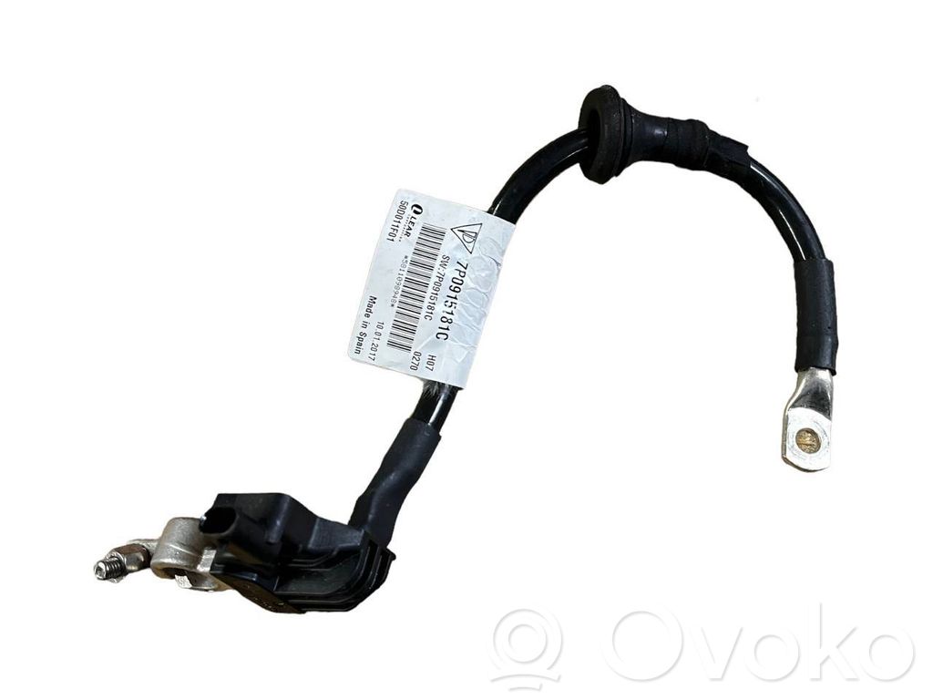 Volkswagen Touareg II Cable negativo de tierra (batería) 