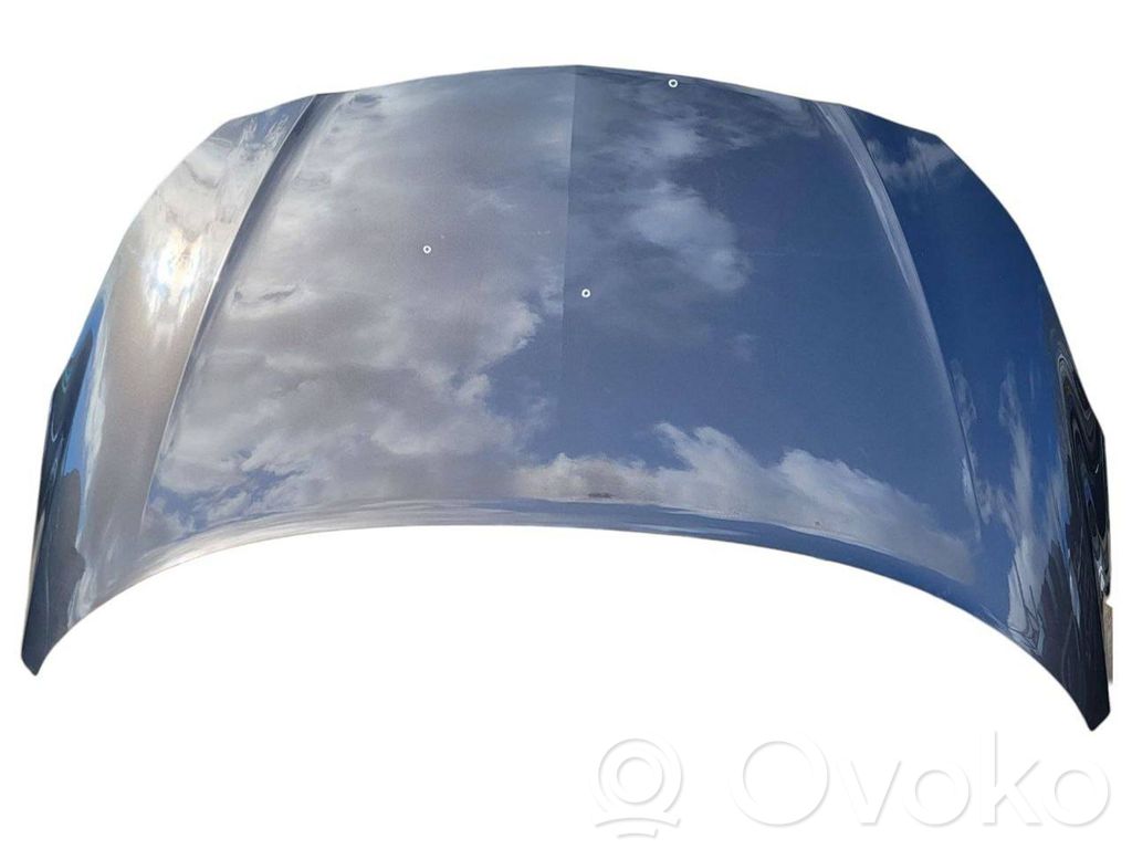 Engine bonnet/hood