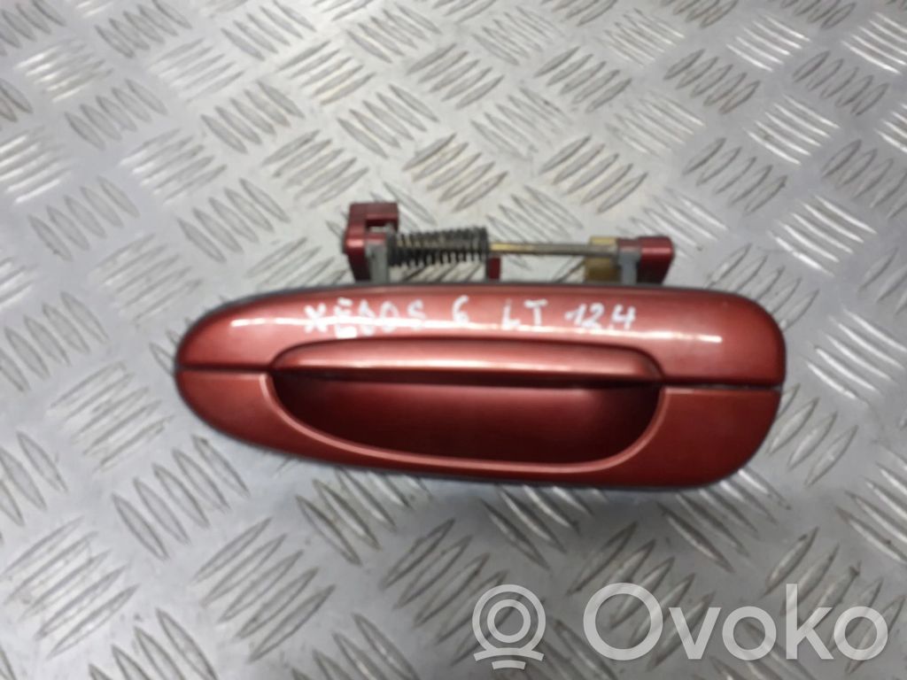 Moldura del asa de la puerta traser
