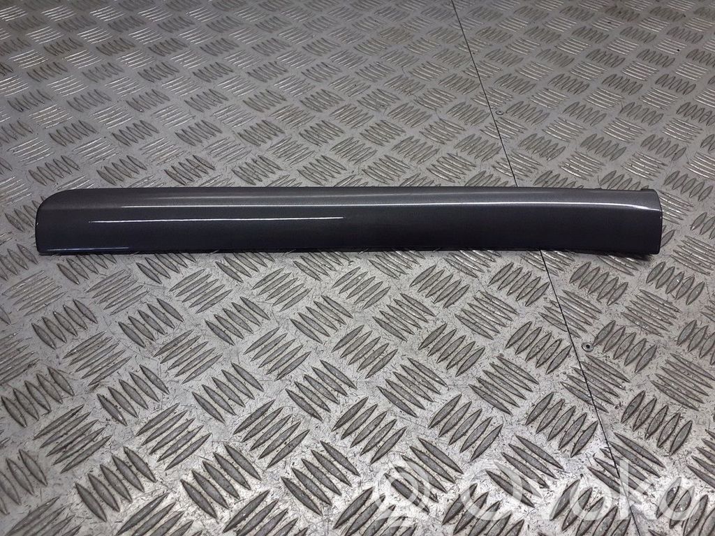 Seat Exeo (3R) Moldura del panel 