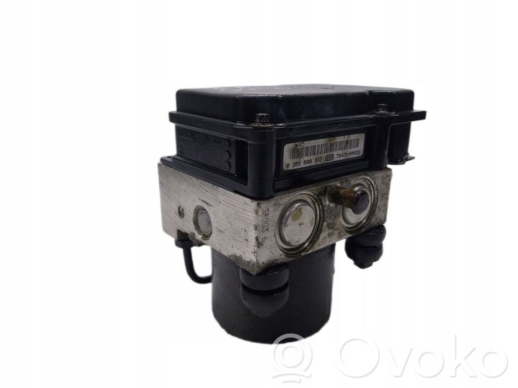 ABS Pump   589201H300