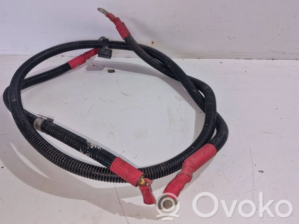 Plusa vads (akumulatora)   7535595