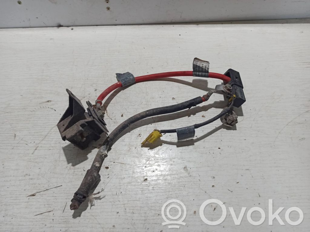 Pluskabel Batterie   6910543,3006N,0809000532