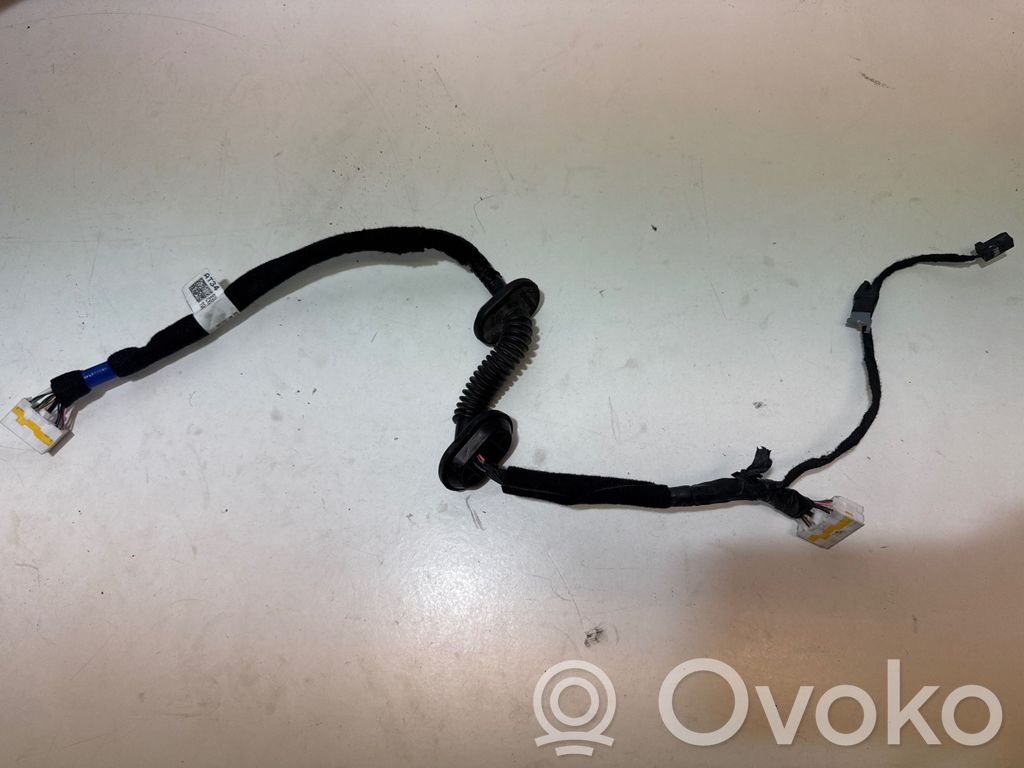 KIA EV6 Arnés de cableado de la puerta trasera/maletero 