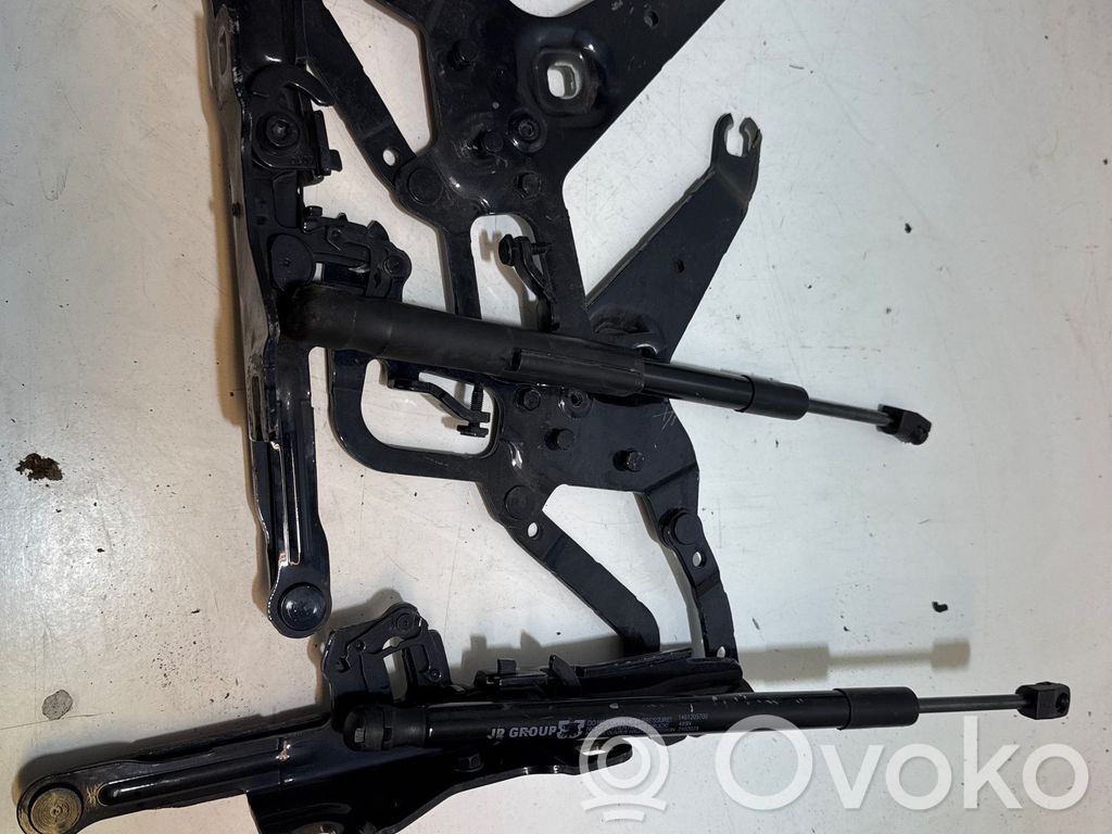 BMW X5 F15 Cerniere del vano motore/cofano 