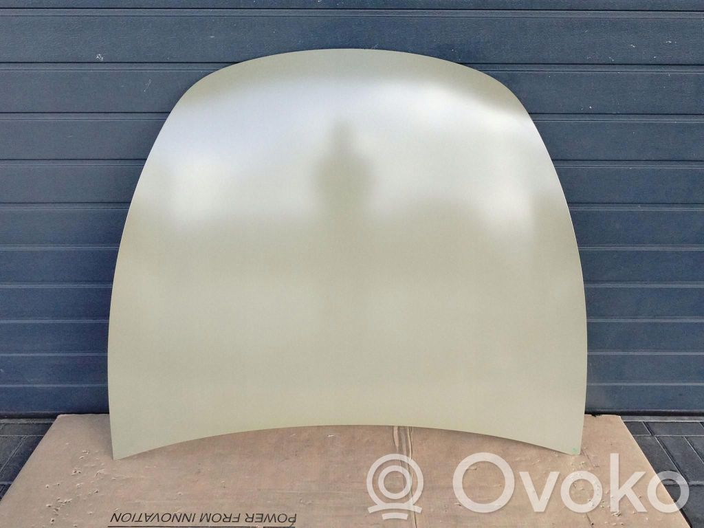 Tesla Model Y Engine bonnet/hood 