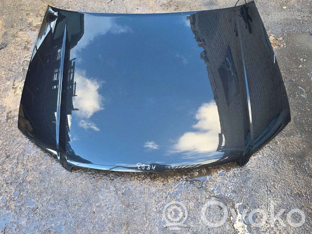 Engine bonnet/hood