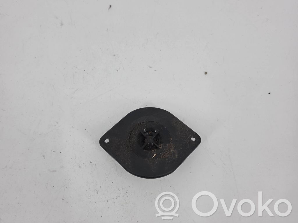Front door high frequency speaker   4913430108,65131374469