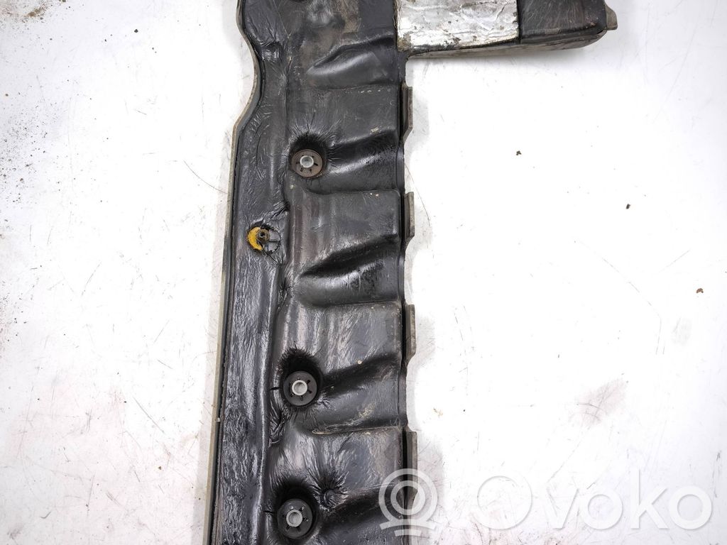 BMW X5 E53 Variklio dangtis (apdaila) 