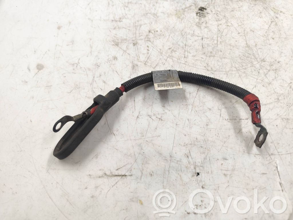 BMW 3 E46 Cables (alternador) 