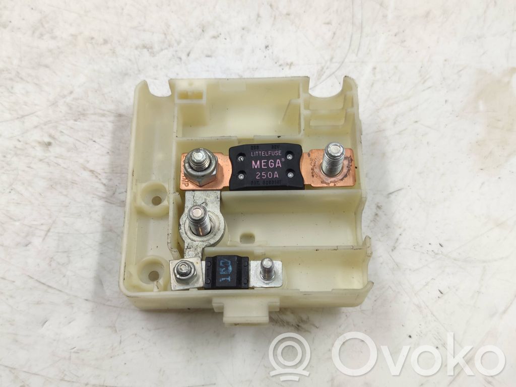 Positive wiring loom   8387551